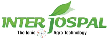 Partner 6